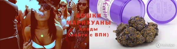 ГАЛЛЮЦИНОГЕННЫЕ ГРИБЫ Арсеньев