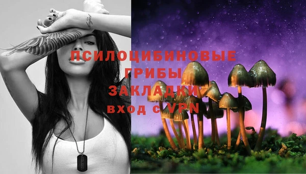 ПСИЛОЦИБИНОВЫЕ ГРИБЫ Армянск
