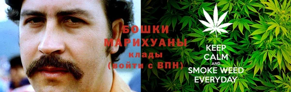 ГАЛЛЮЦИНОГЕННЫЕ ГРИБЫ Арсеньев