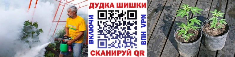 где купить наркоту  Удачный  Бошки марихуана VHQ 